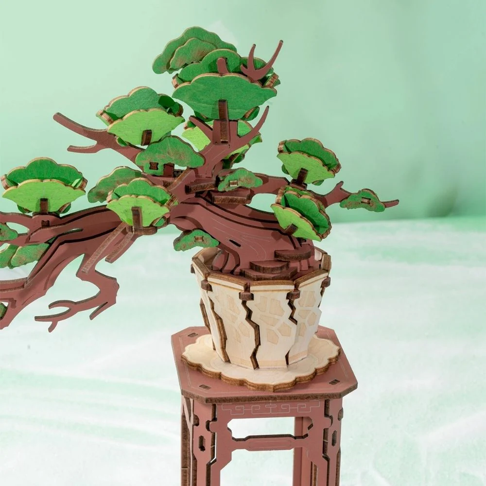 Miniature 5