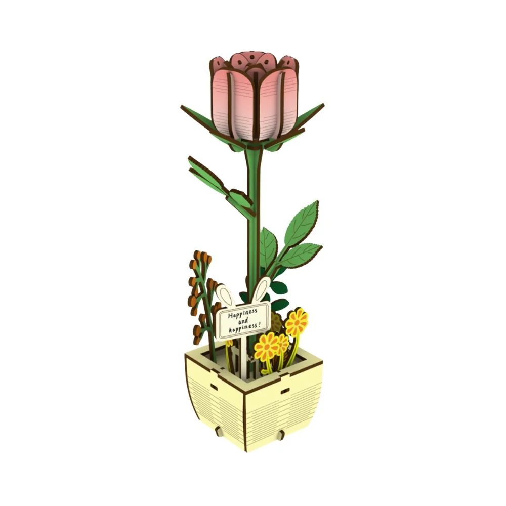 Miniature 3